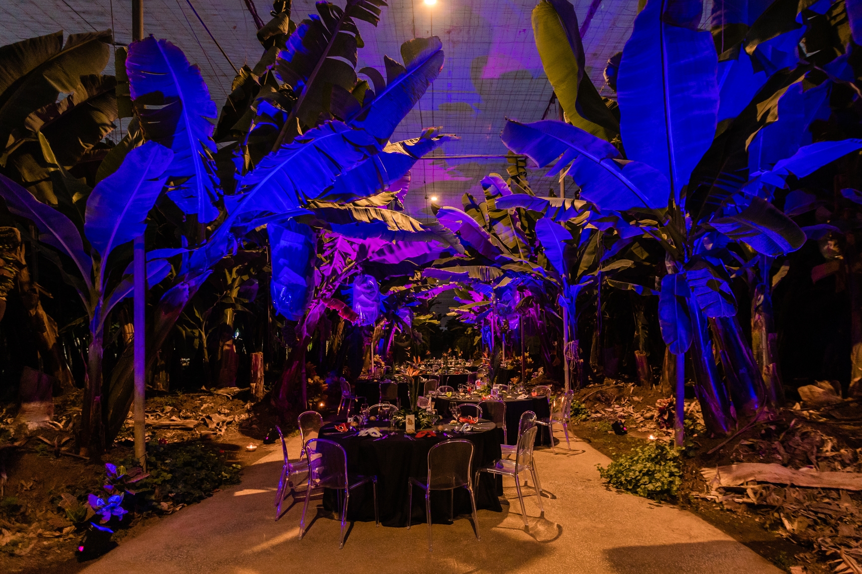 Ondersteuning van A tot Z