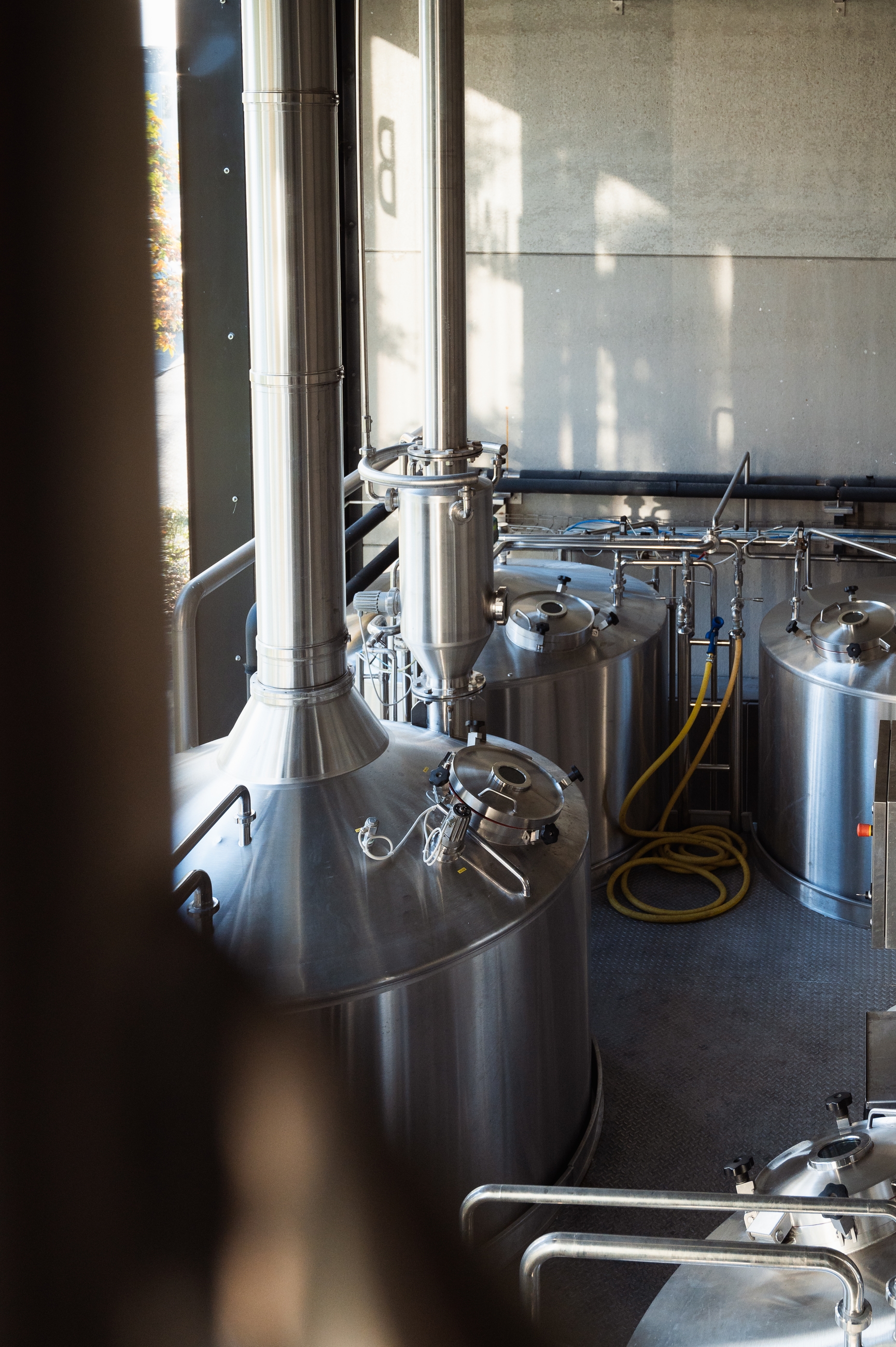 Klantenverhaal de groei en digitalisering van Brouwerij Dilewyns