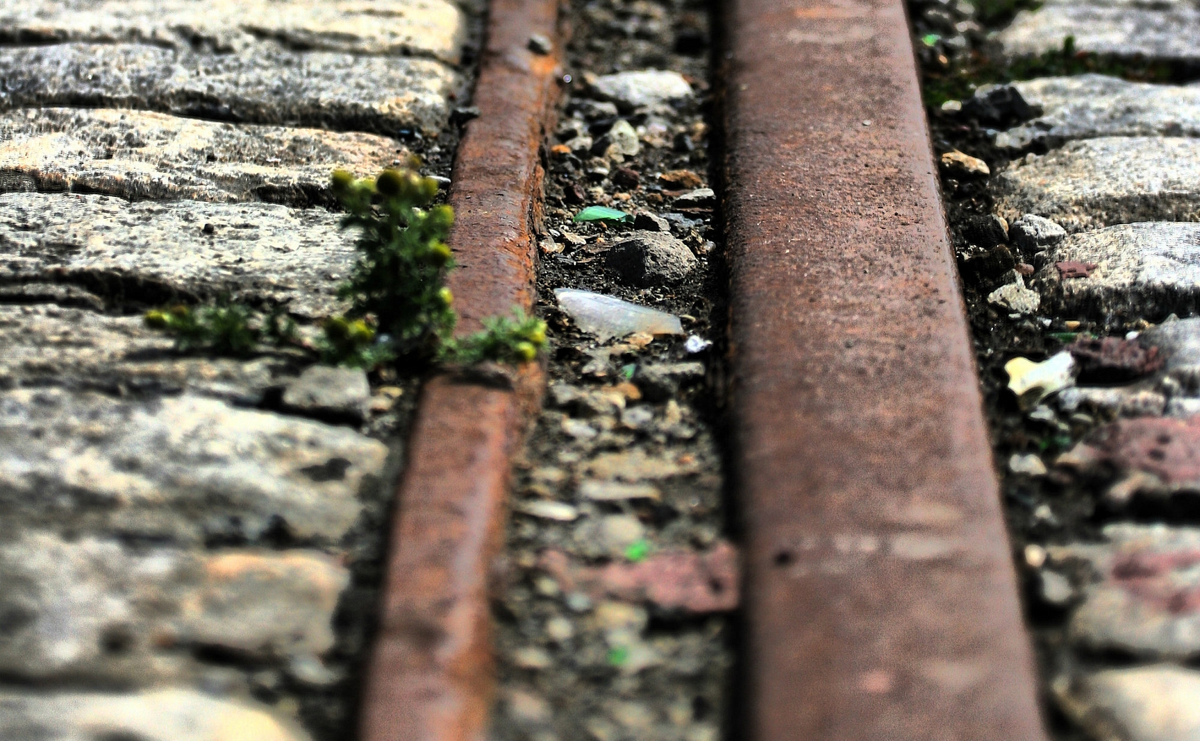 Klikdividend Aan welke echtgenoot komen de dividenden toe