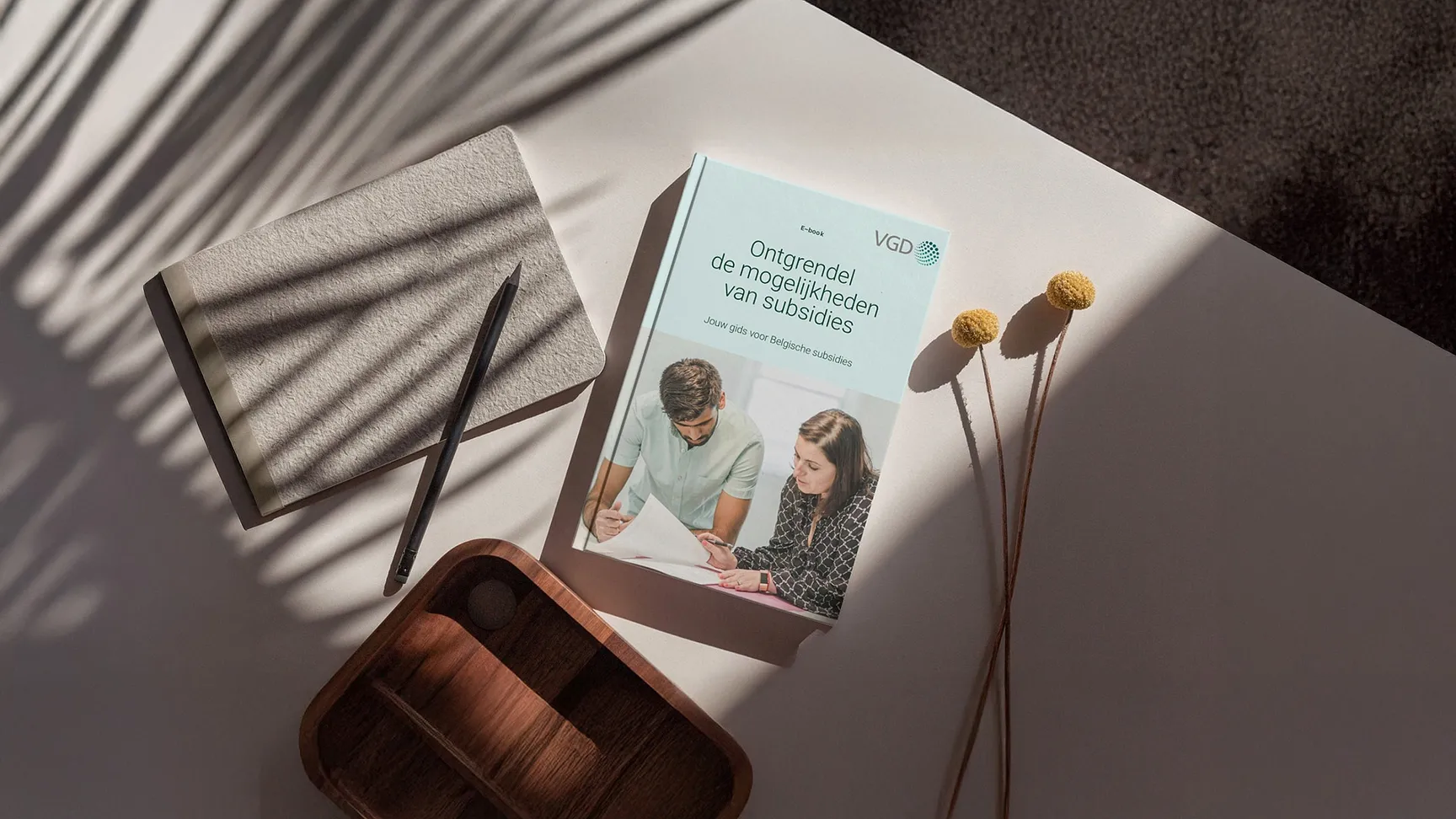 Ebook subsidies mockup