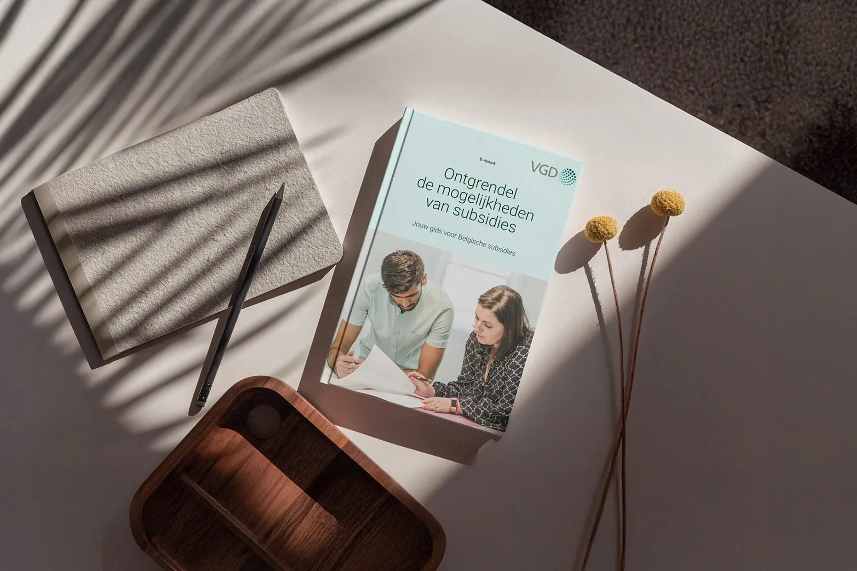 Ebook subsidies mockup