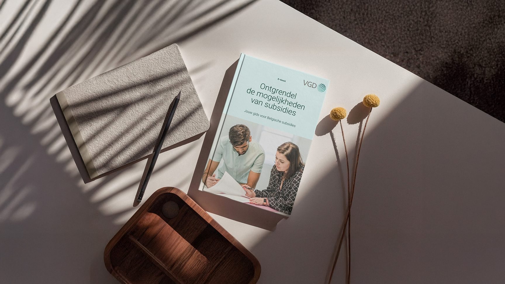 Ebook subsidies mockup